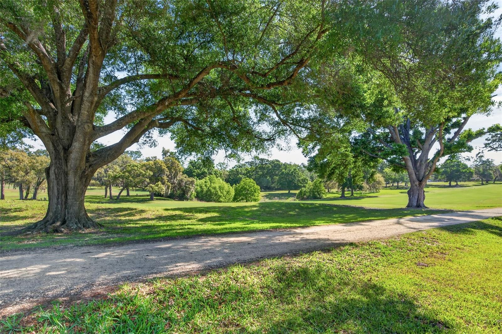 2393 W FAIRWAY LOOP, CITRUS SPRINGS, FL, 34434