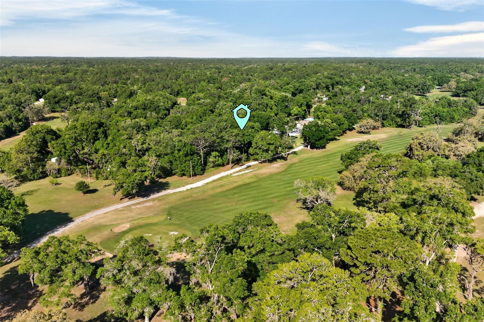 2393 W FAIRWAY LOOP, CITRUS SPRINGS, FL, 34434