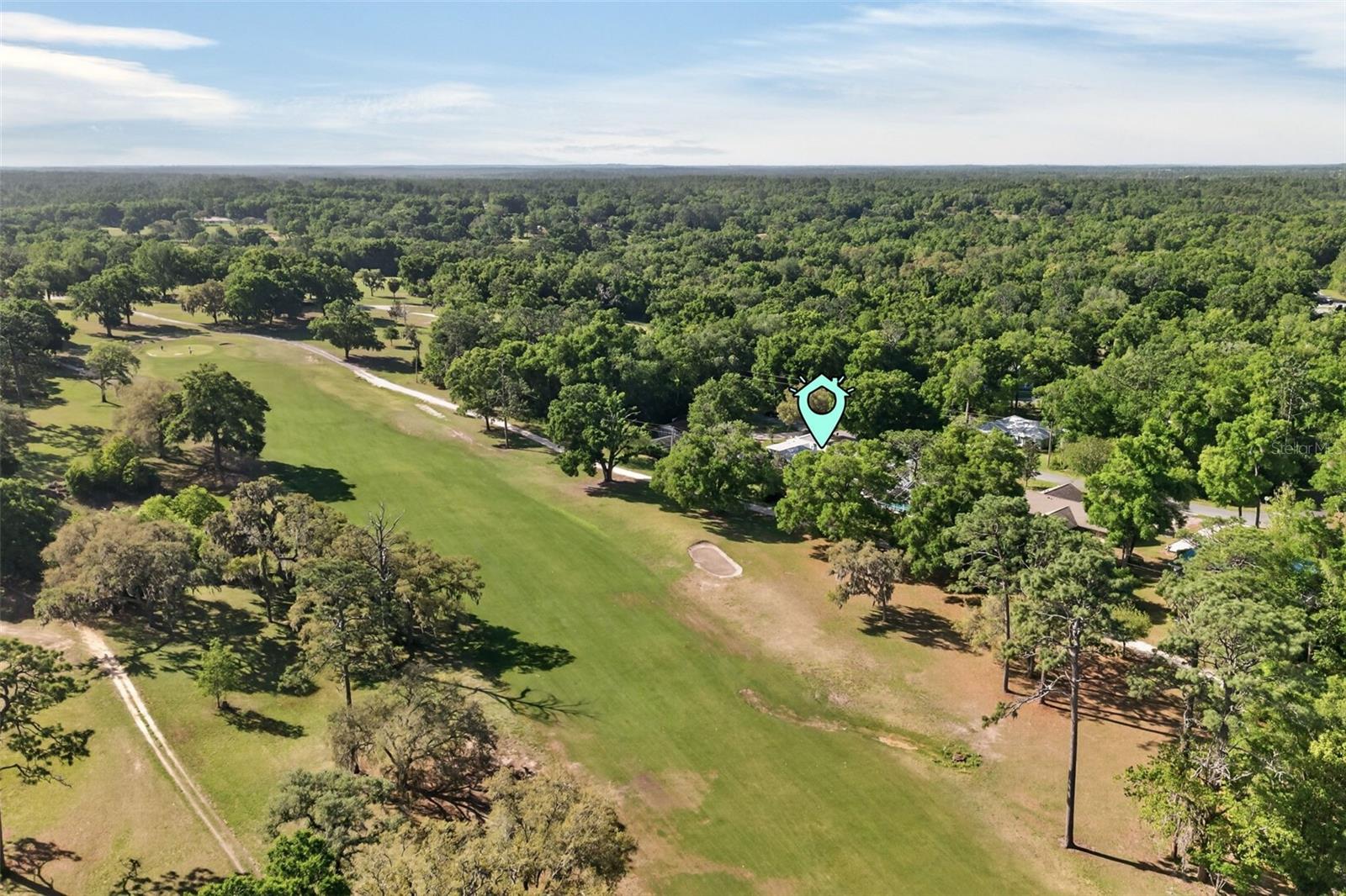 2393 W FAIRWAY LOOP, CITRUS SPRINGS, FL, 34434