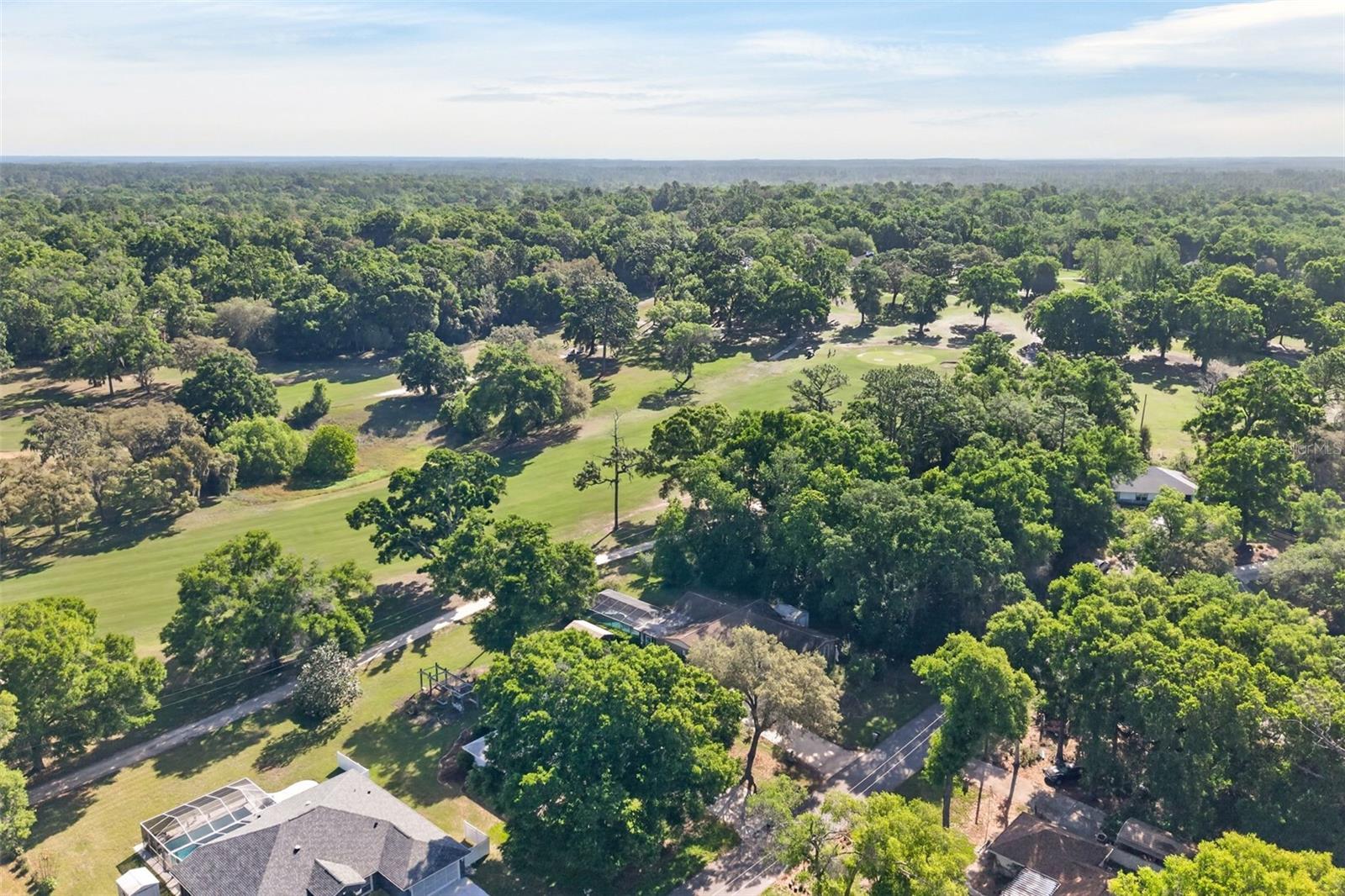 2393 W FAIRWAY LOOP, CITRUS SPRINGS, FL, 34434