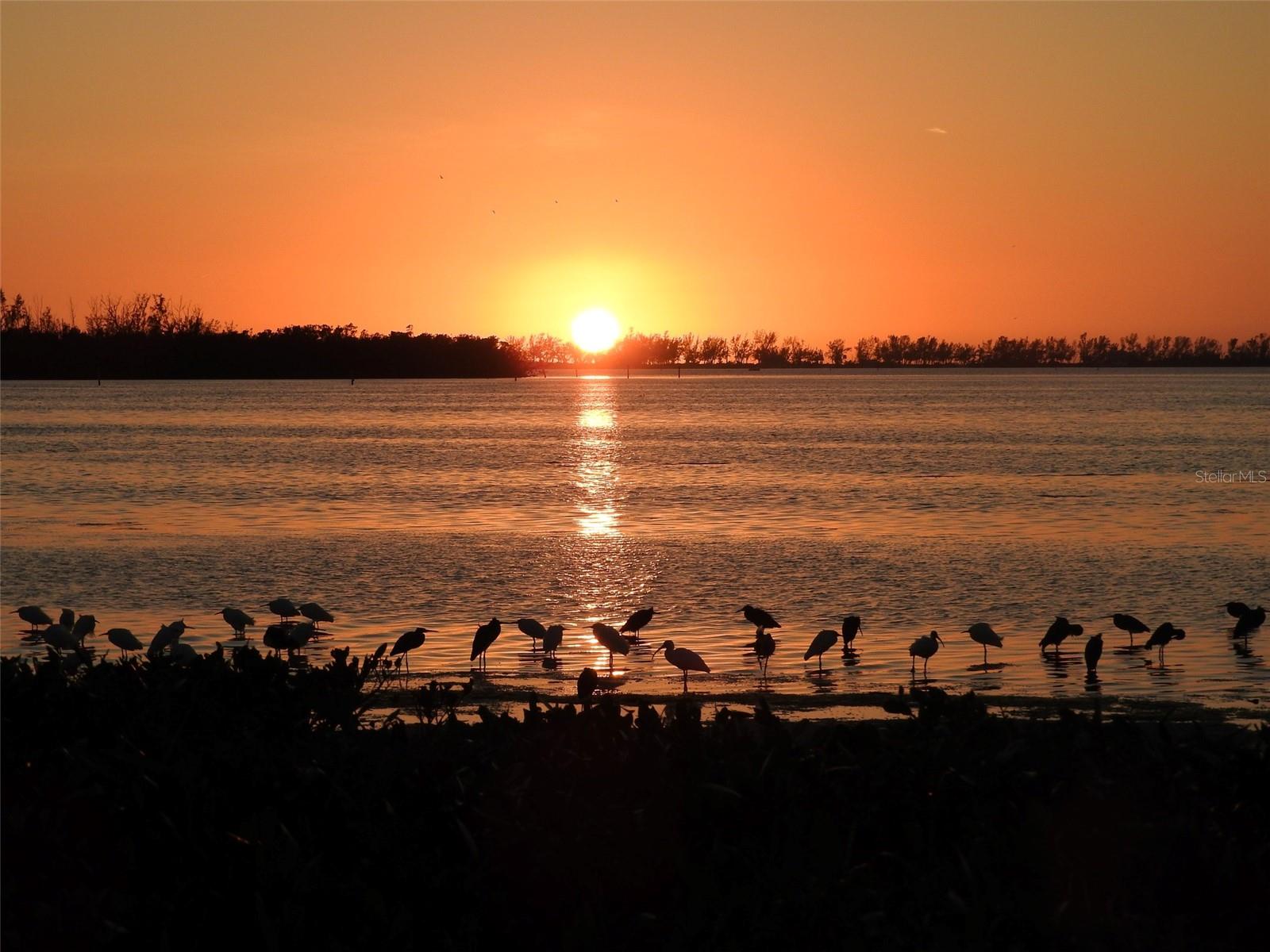 9505 COLONIAL DR, BRADENTON, FL, 34210