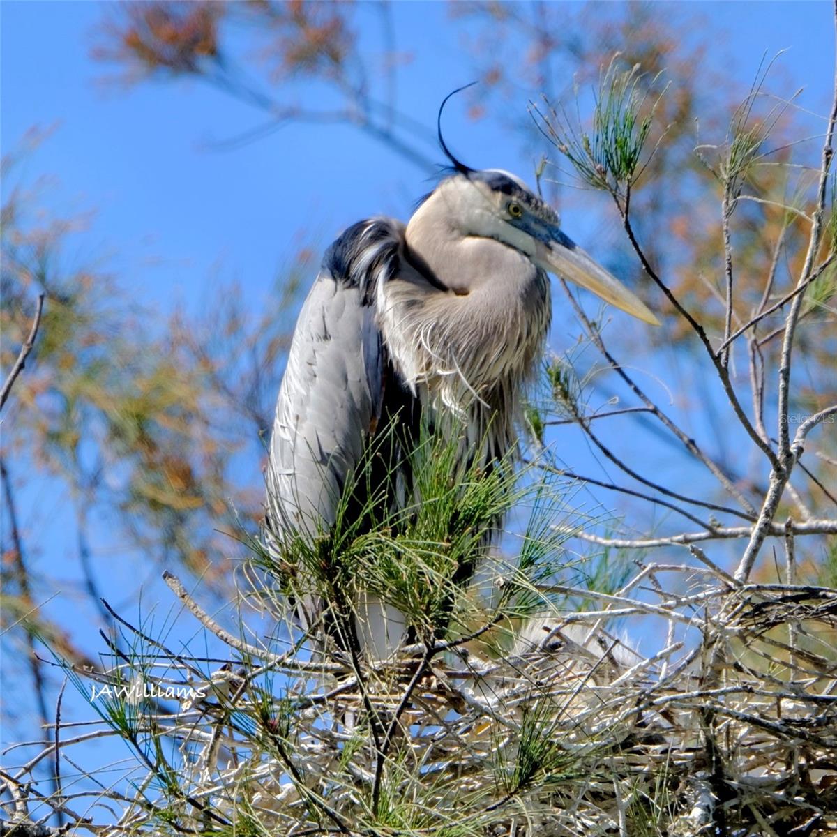 9505 COLONIAL DR, BRADENTON, FL, 34210