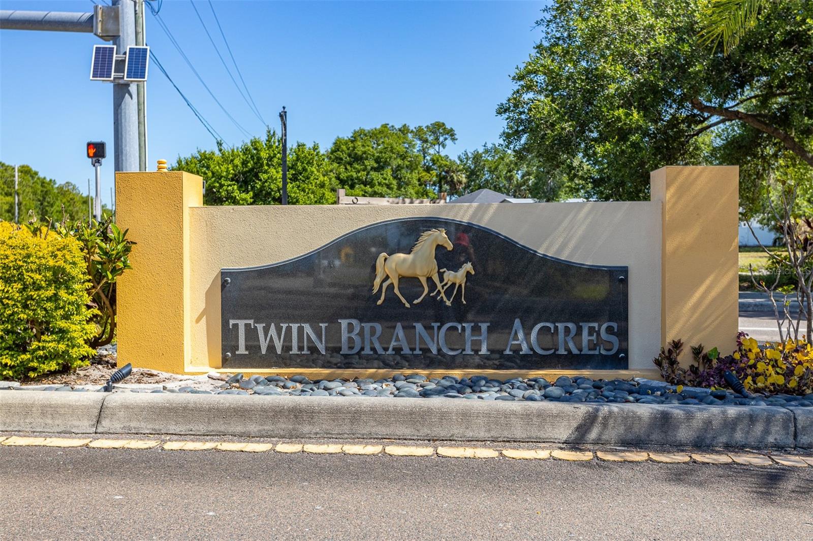 12814 TWIN BRANCH ACRES RD, TAMPA, FL, 33626