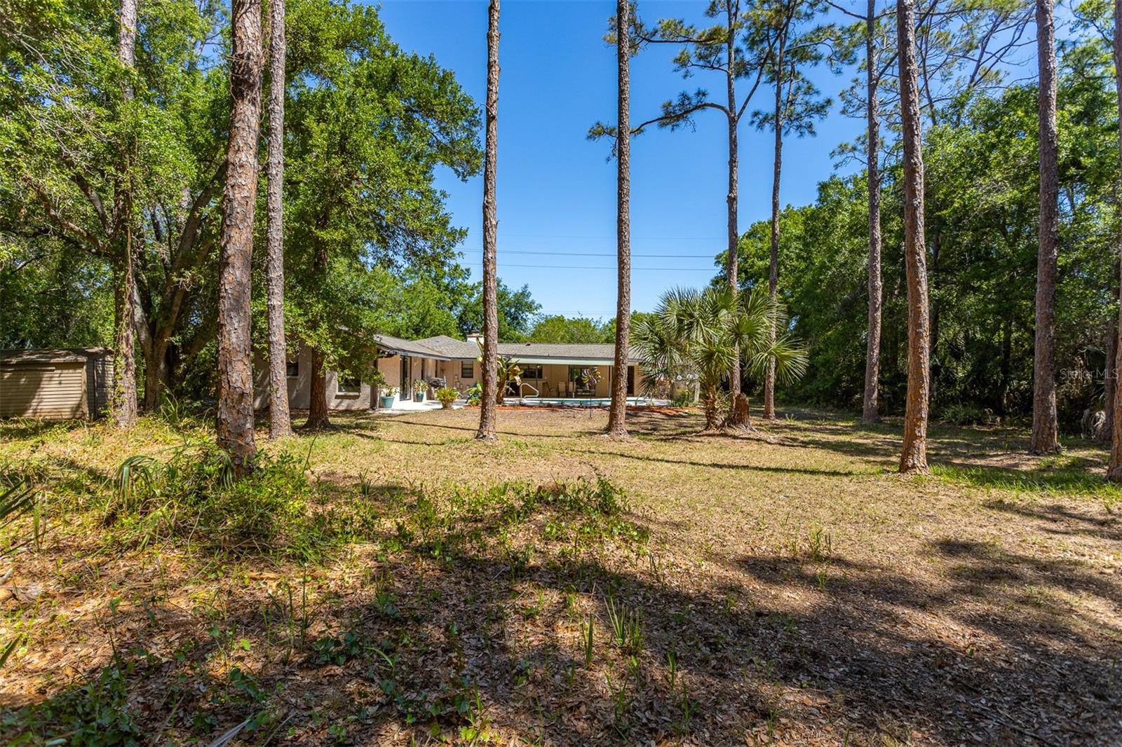 12814 TWIN BRANCH ACRES RD, TAMPA, FL, 33626