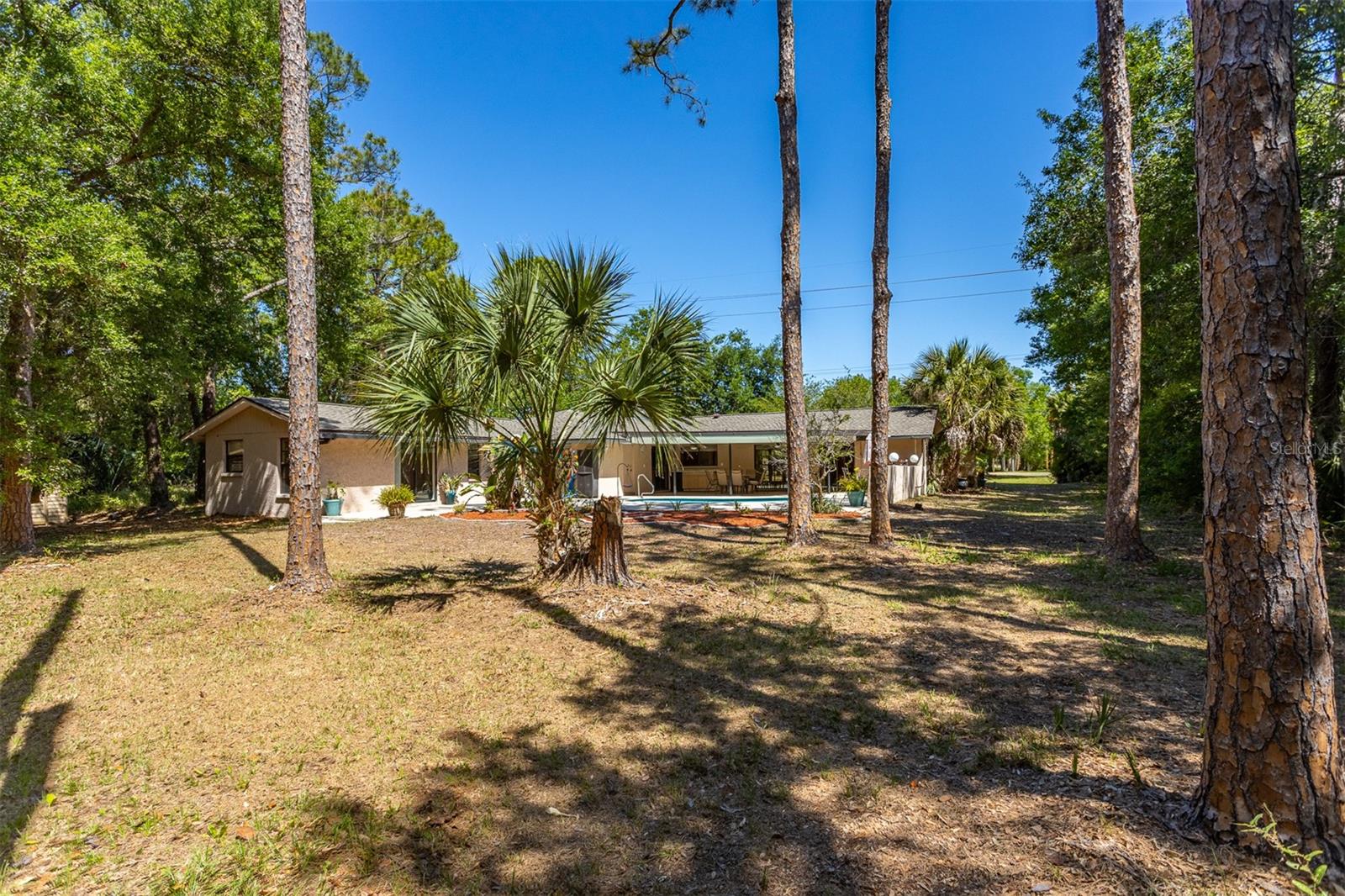 12814 TWIN BRANCH ACRES RD, TAMPA, FL, 33626