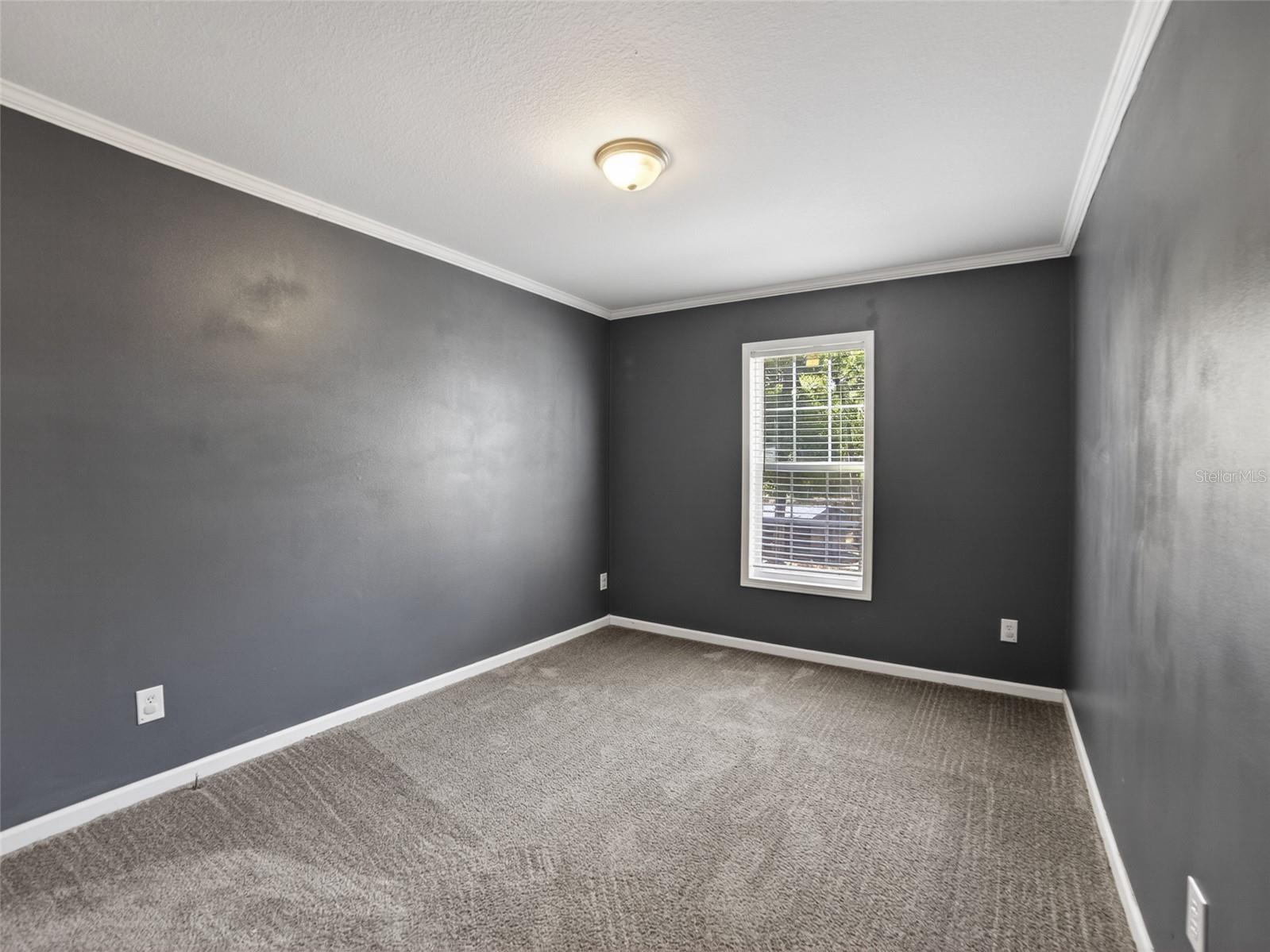 34938 PUNCH RD, DADE CITY, FL, 33523