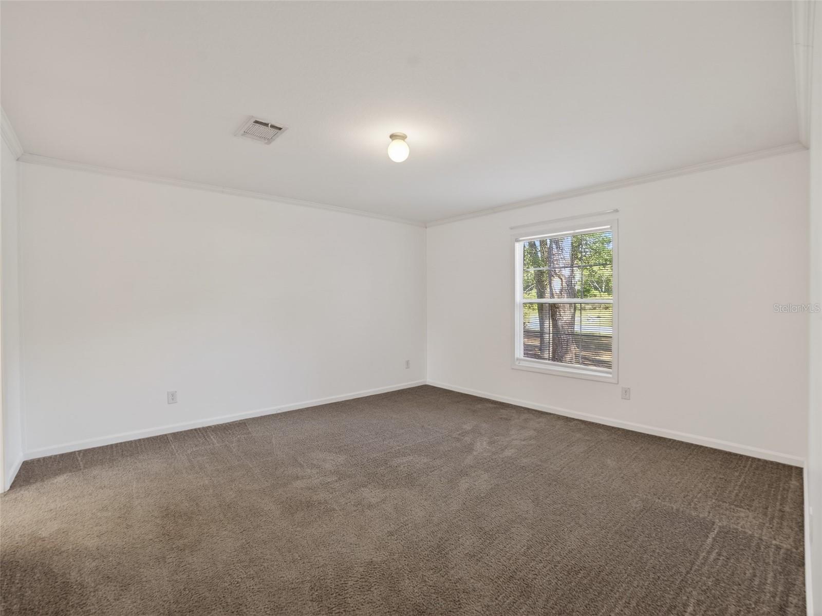 34938 PUNCH RD, DADE CITY, FL, 33523