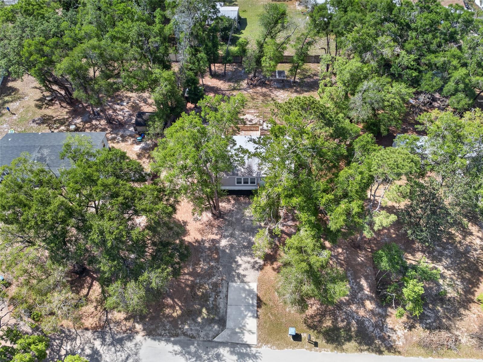 34938 PUNCH RD, DADE CITY, FL, 33523