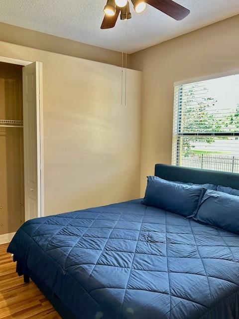 22444 OAKVILLE DR, LAND O LAKES, FL, 34639