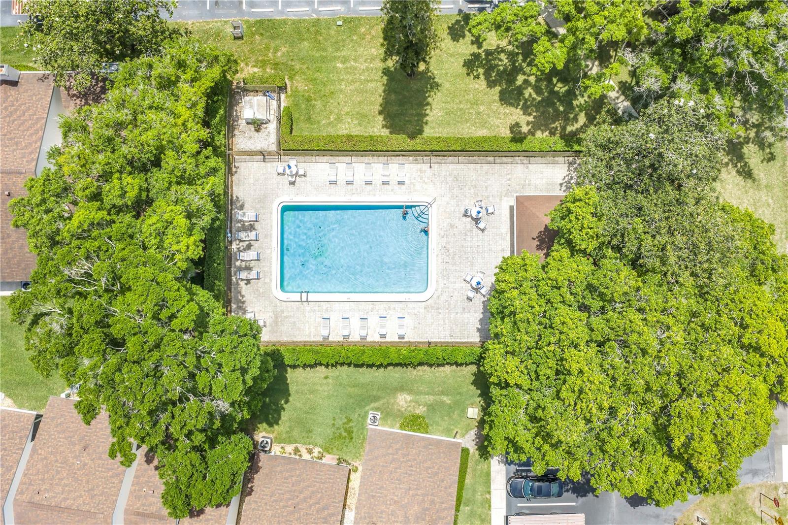 3600 MAGNOLIA RIDGE CIR #1224, PALM HARBOR, FL, 34684