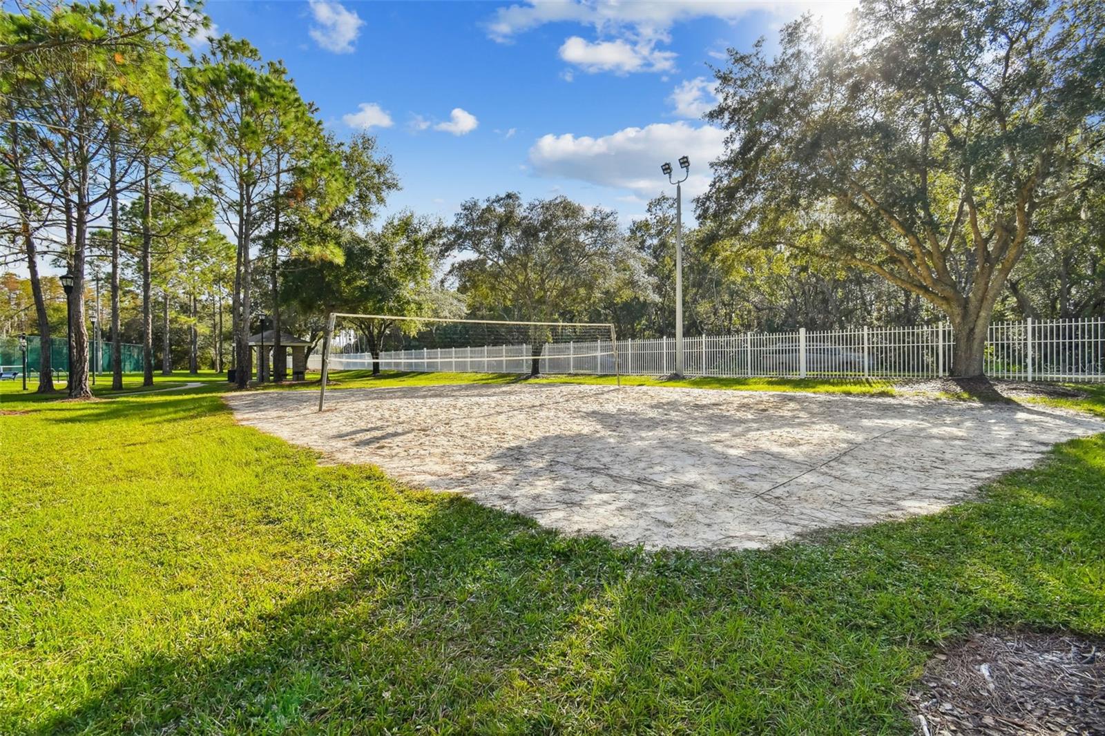 8311 TORRINGTON AVE, TAMPA, FL, 33647