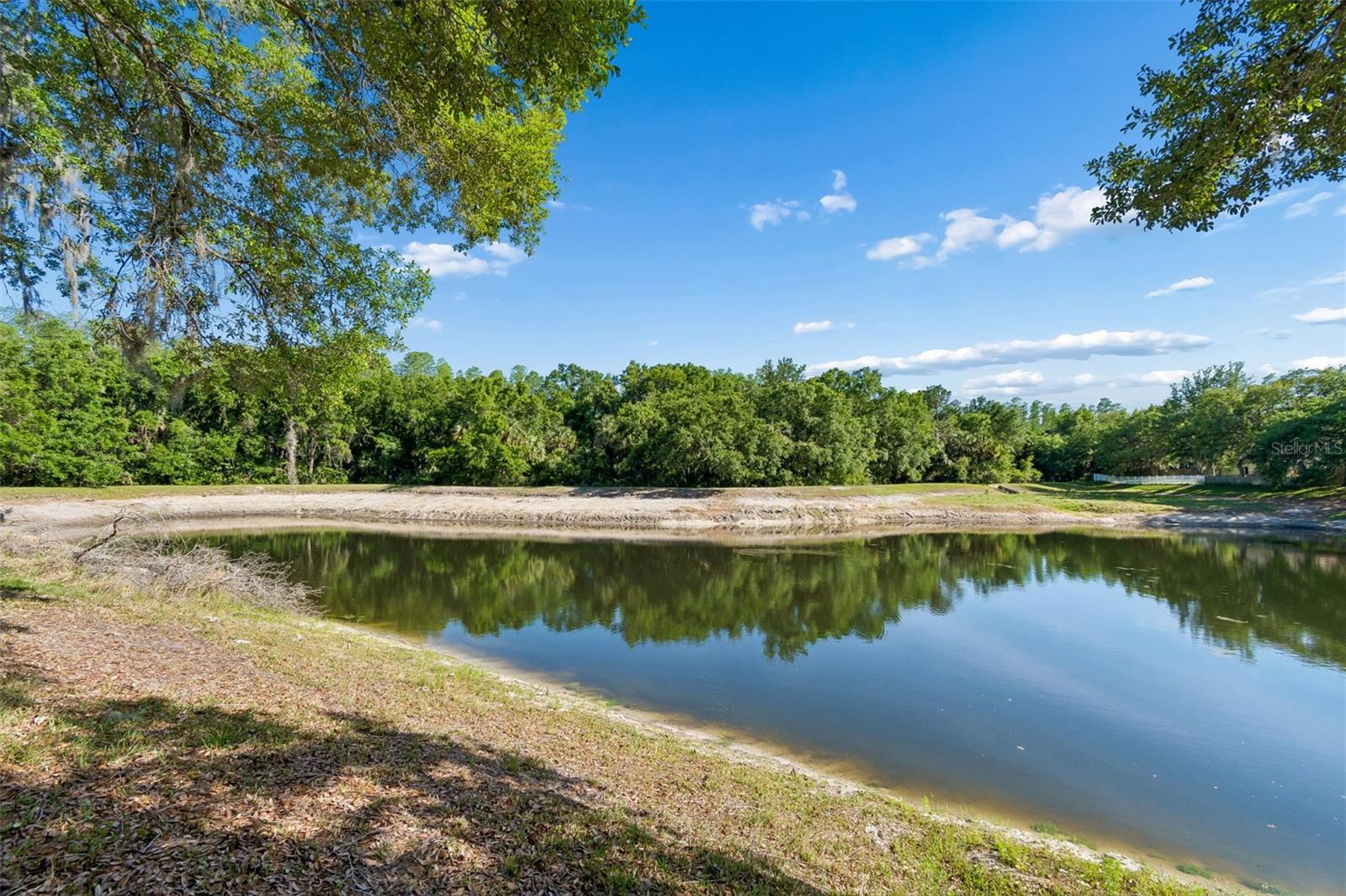 8311 TORRINGTON AVE, TAMPA, FL, 33647