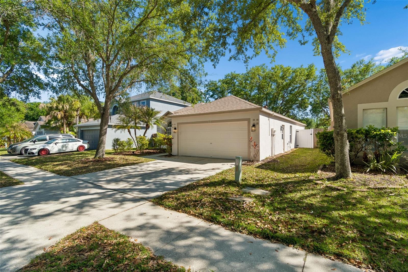 8311 TORRINGTON AVE, TAMPA, FL, 33647
