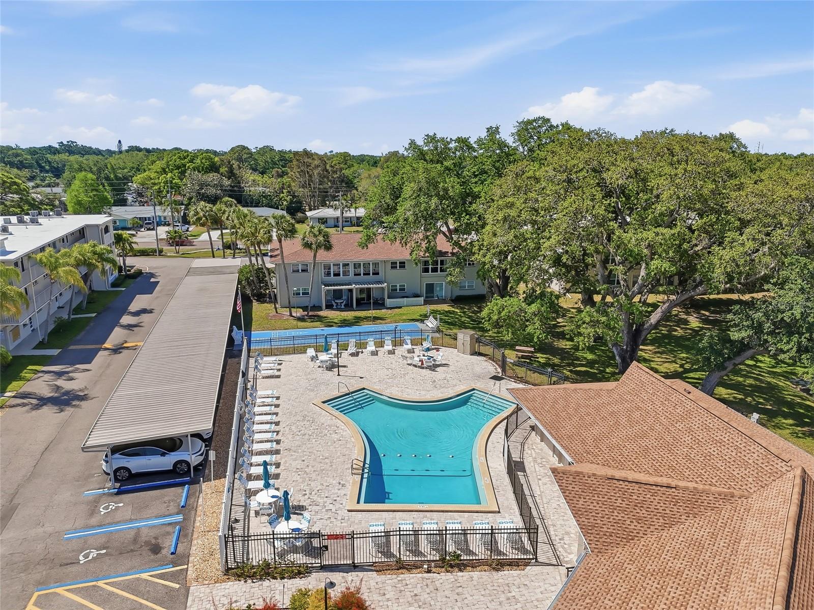 952 VIRGINIA ST #202, DUNEDIN, FL, 34698