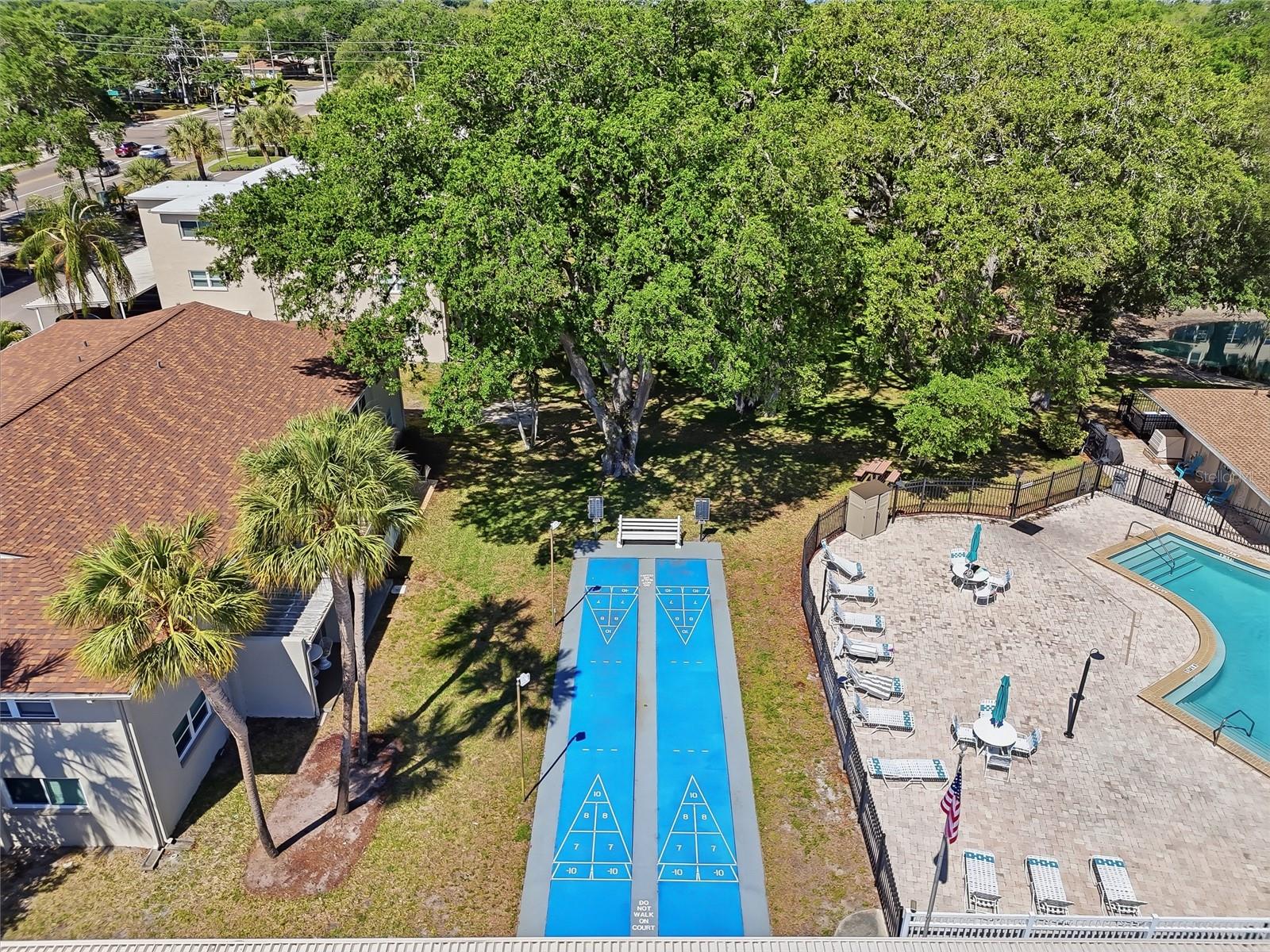 952 VIRGINIA ST #202, DUNEDIN, FL, 34698