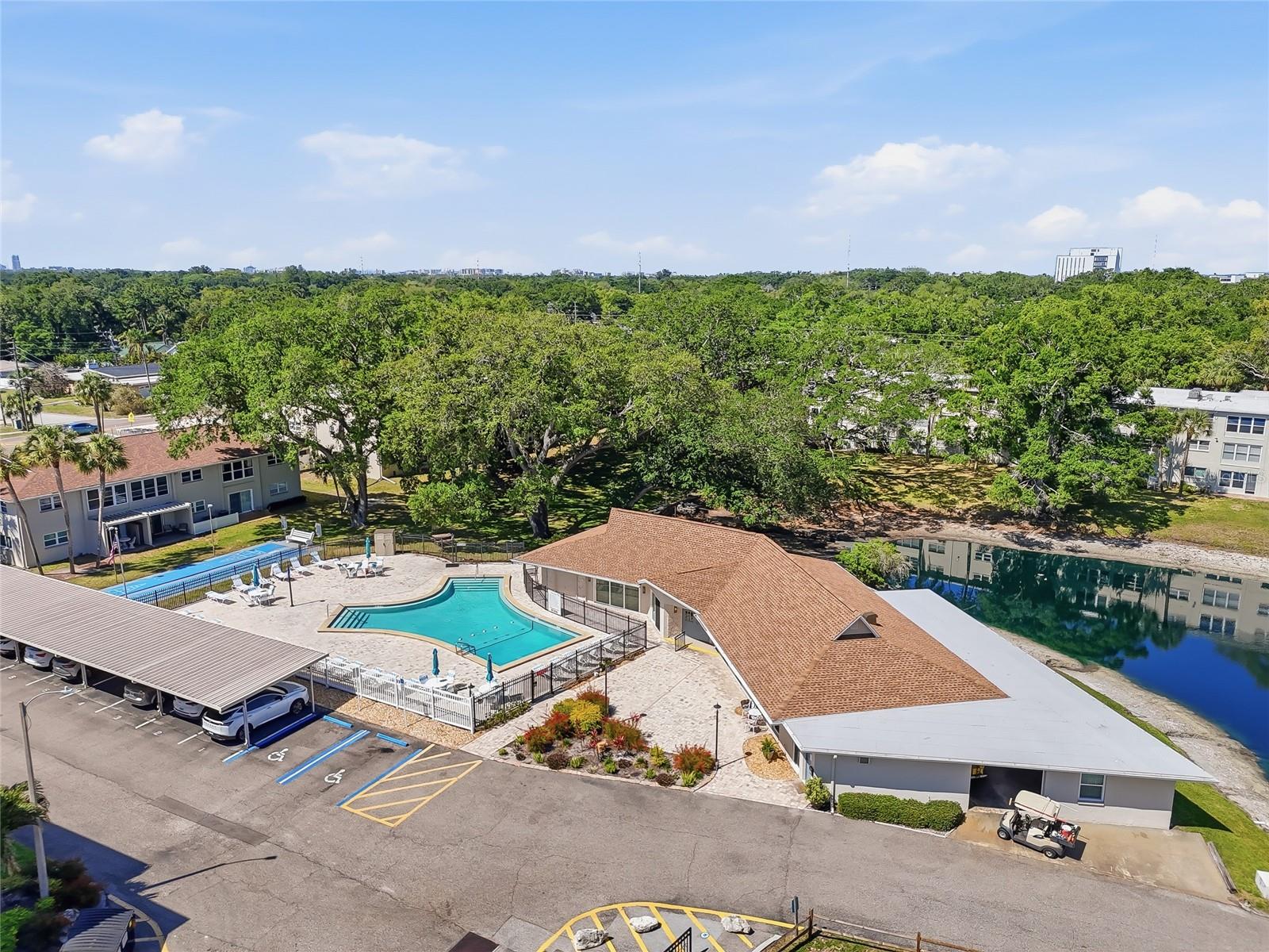 952 VIRGINIA ST #202, DUNEDIN, FL, 34698