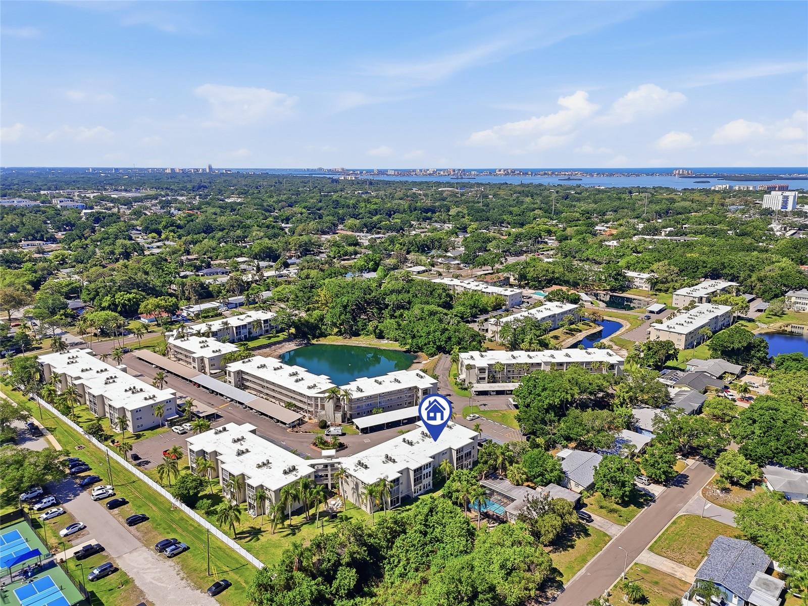 952 VIRGINIA ST #202, DUNEDIN, FL, 34698