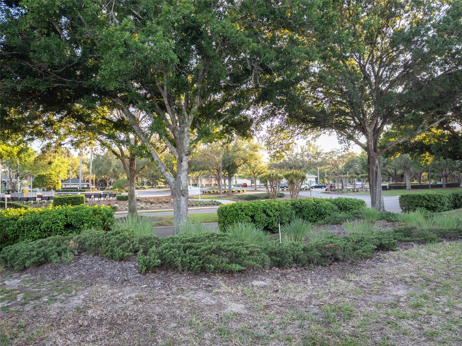 9593 SE 124TH LOOP, SUMMERFIELD, FL, 34491