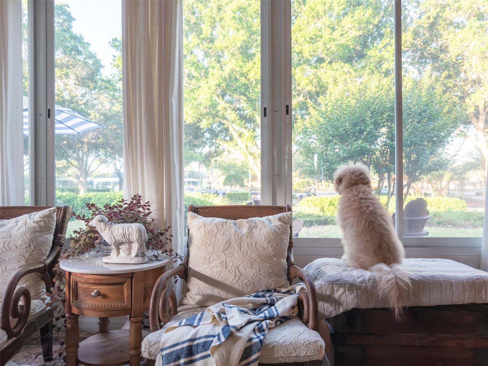 9593 SE 124TH LOOP, SUMMERFIELD, FL, 34491