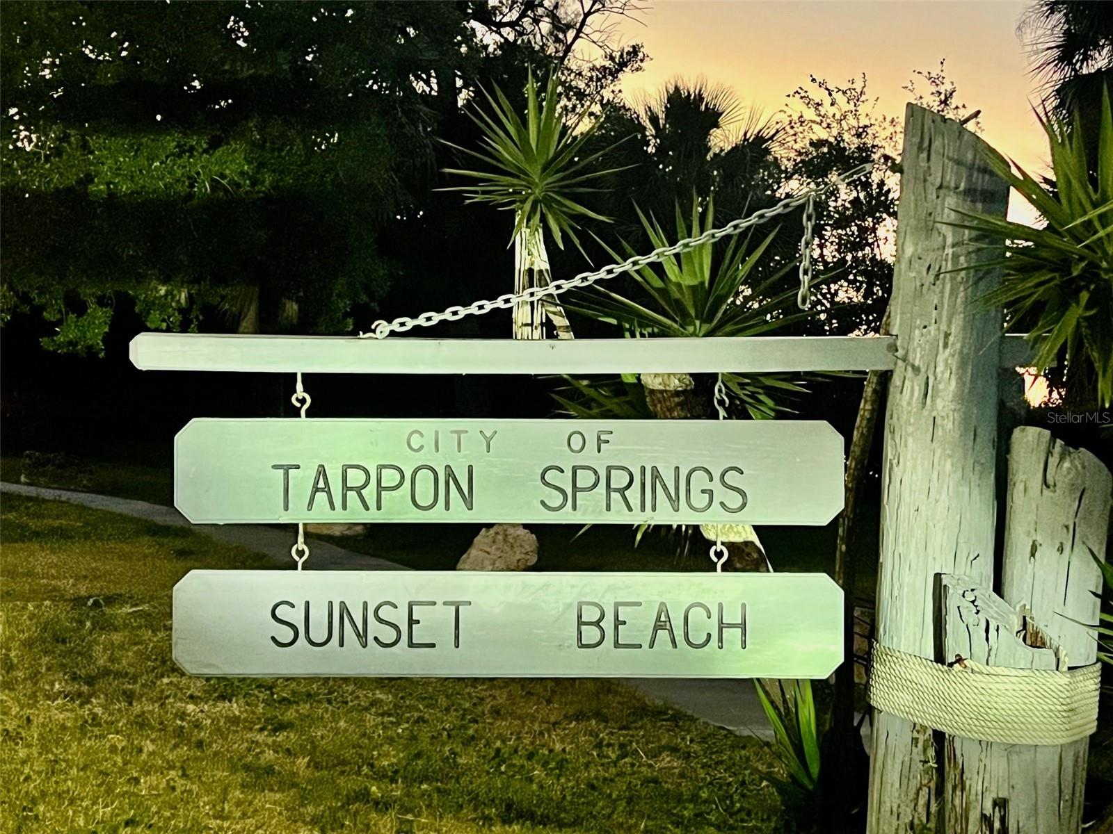 404 WINDRUSH BAY DR, TARPON SPRINGS, FL, 34689