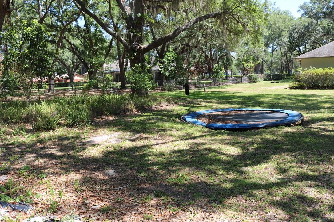 19150 LIVINGSTON AVE, LUTZ, FL, 33559