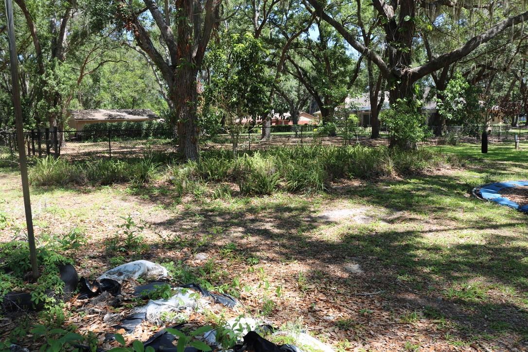 19150 LIVINGSTON AVE, LUTZ, FL, 33559