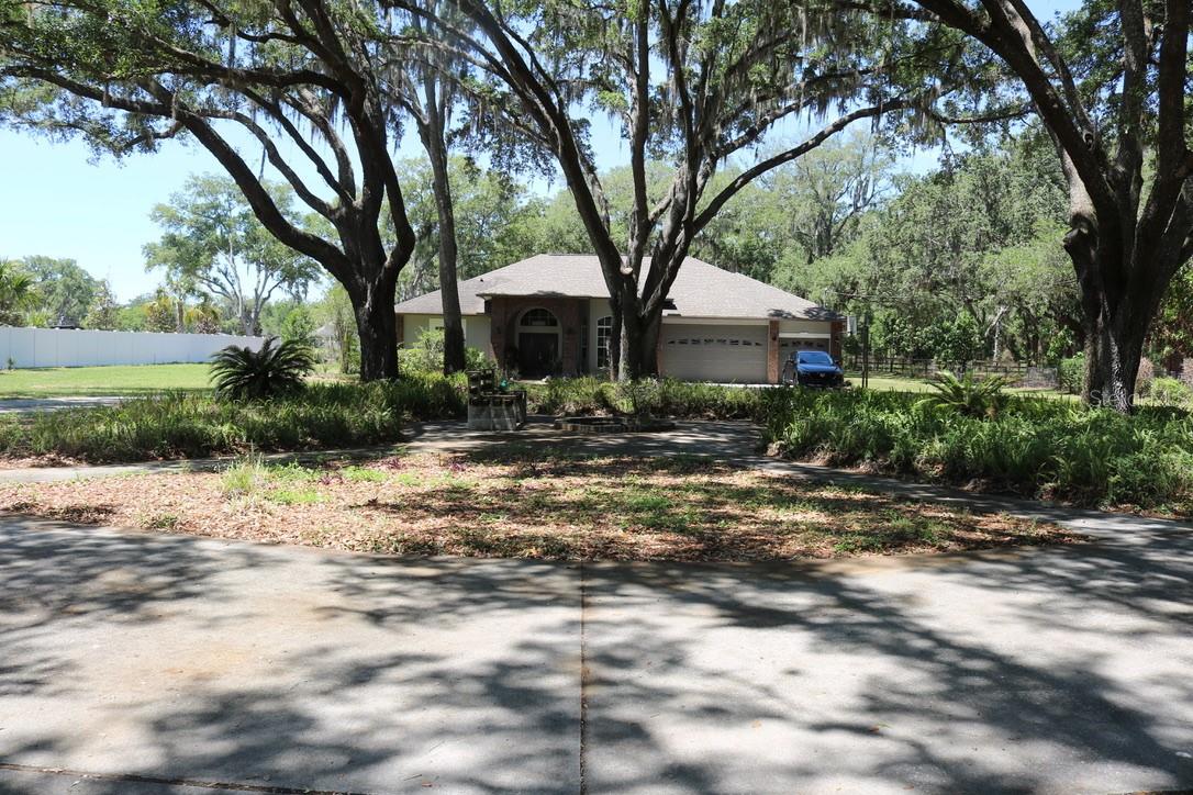 19150 LIVINGSTON AVE, LUTZ, FL, 33559