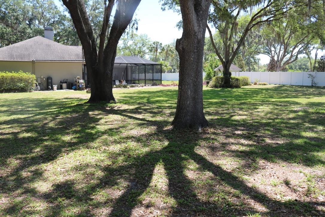 19150 LIVINGSTON AVE, LUTZ, FL, 33559