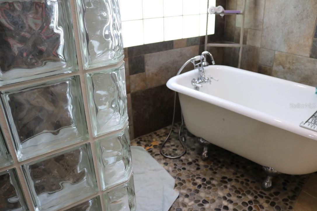 19150 LIVINGSTON AVE, LUTZ, FL, 33559