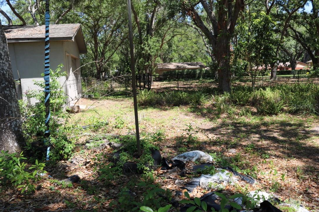 19150 LIVINGSTON AVE, LUTZ, FL, 33559