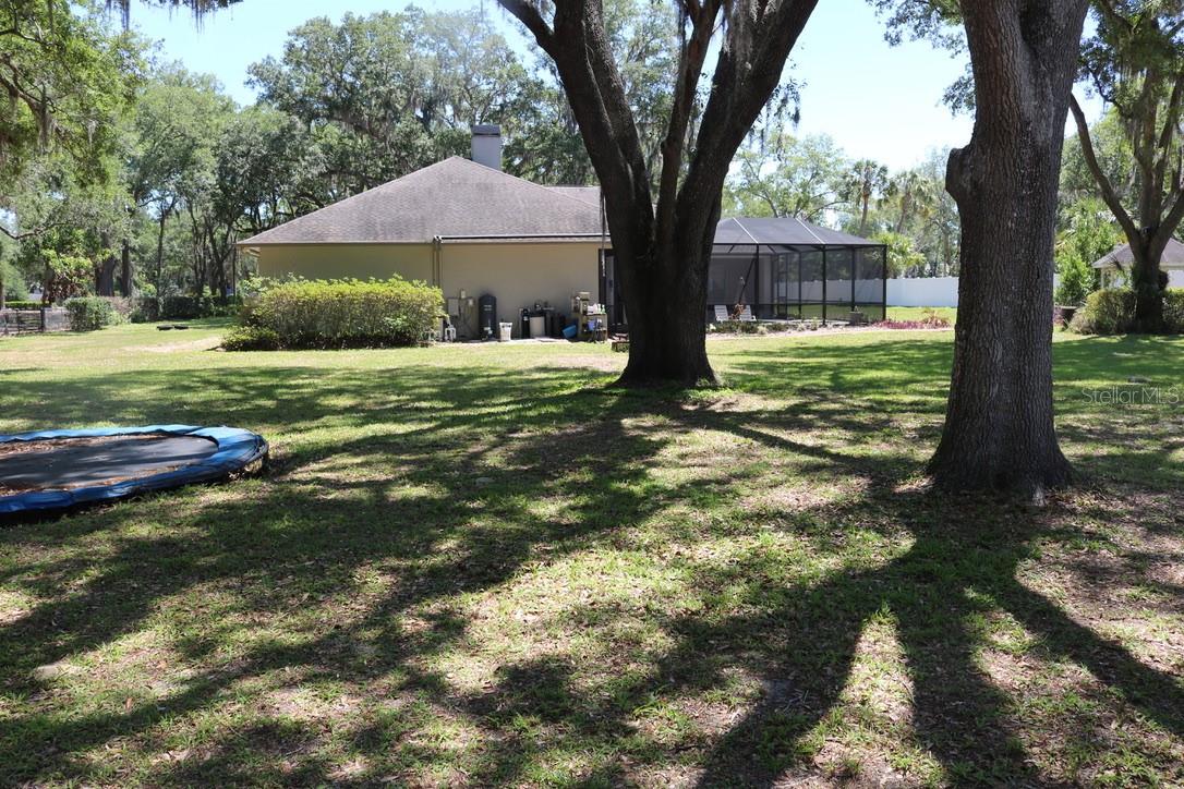 19150 LIVINGSTON AVE, LUTZ, FL, 33559