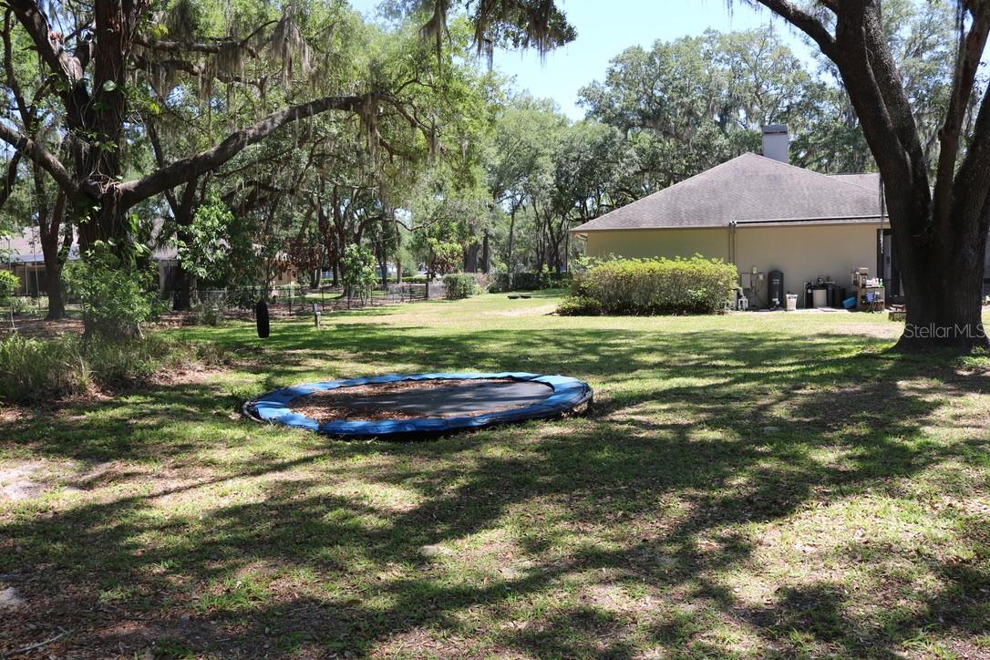 19150 LIVINGSTON AVE, LUTZ, FL, 33559