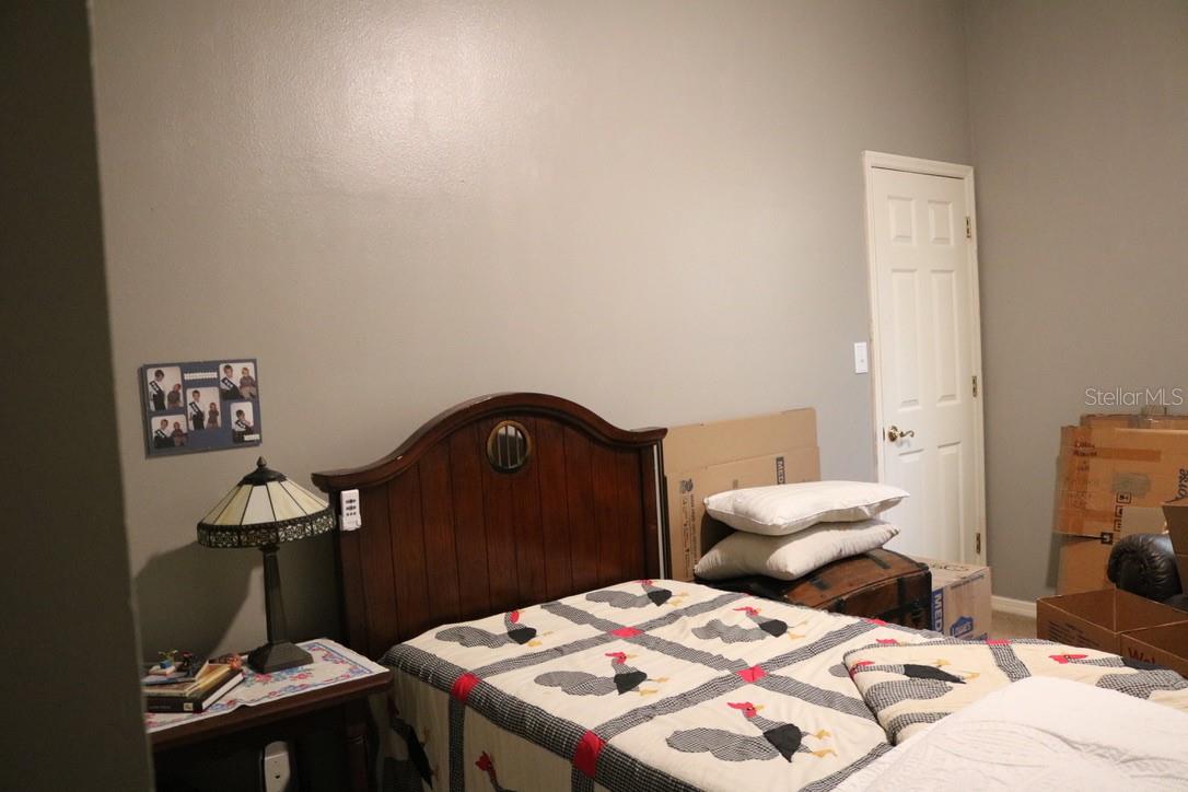 19150 LIVINGSTON AVE, LUTZ, FL, 33559