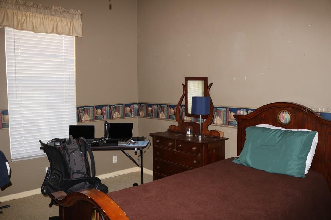 19150 LIVINGSTON AVE, LUTZ, FL, 33559