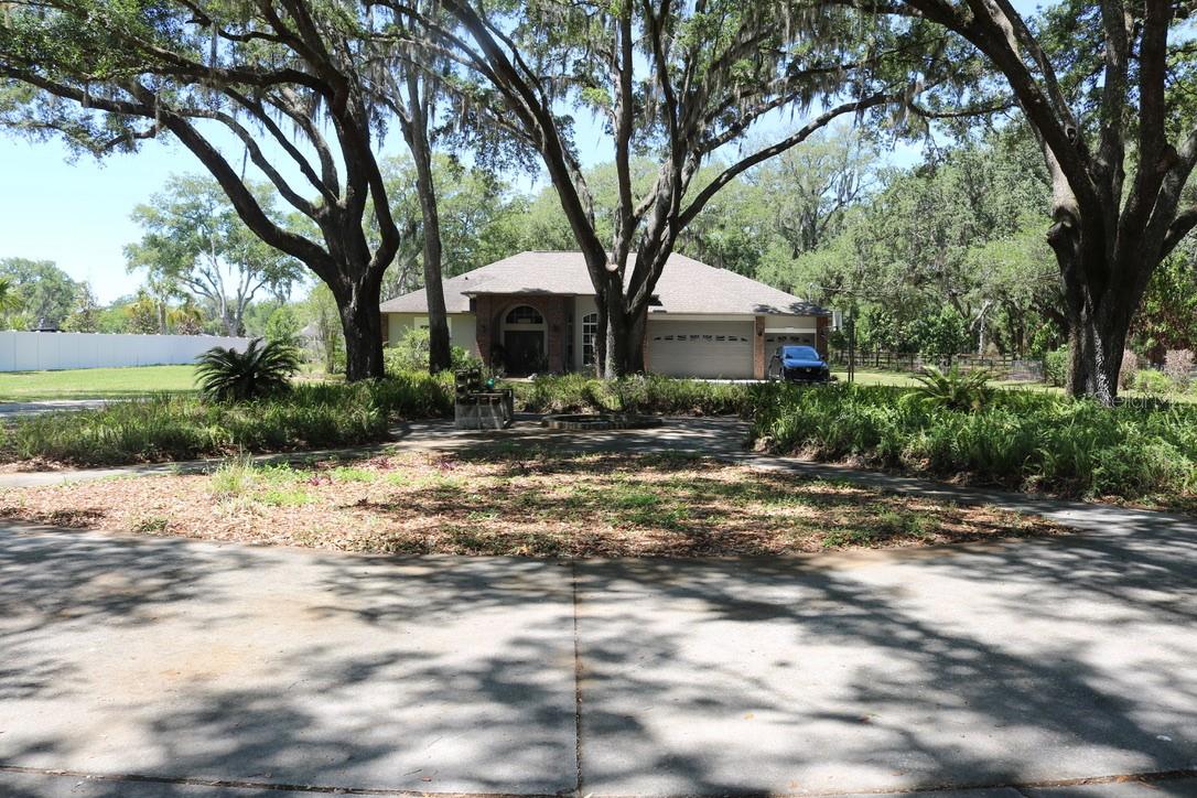 19150 LIVINGSTON AVE, LUTZ, FL, 33559