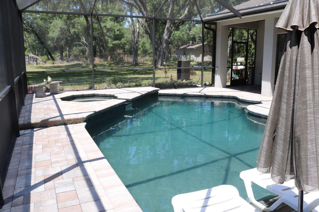 19150 LIVINGSTON AVE, LUTZ, FL, 33559