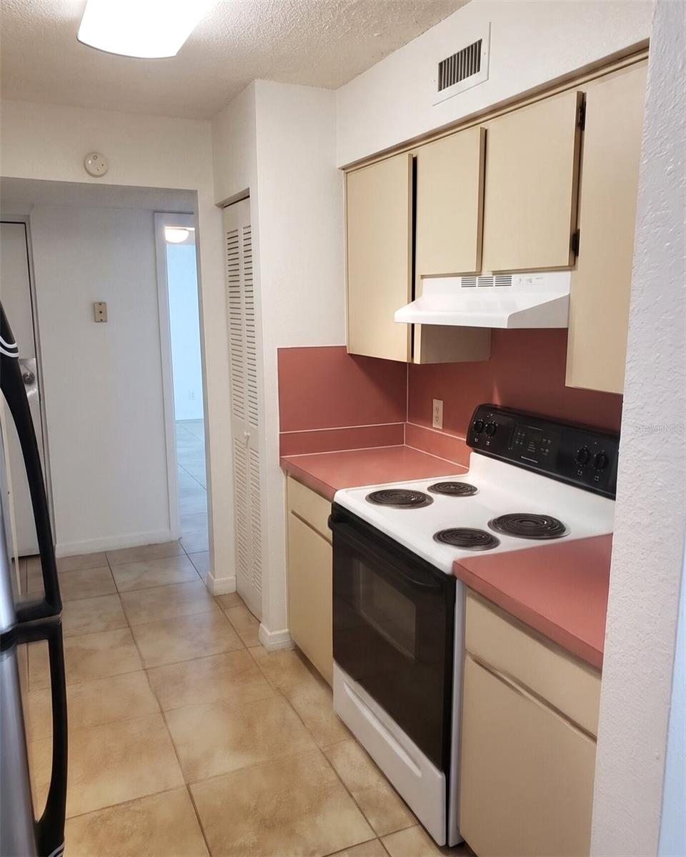 7526 NEEDLE LEAF PL #24, TAMPA, FL, 33617