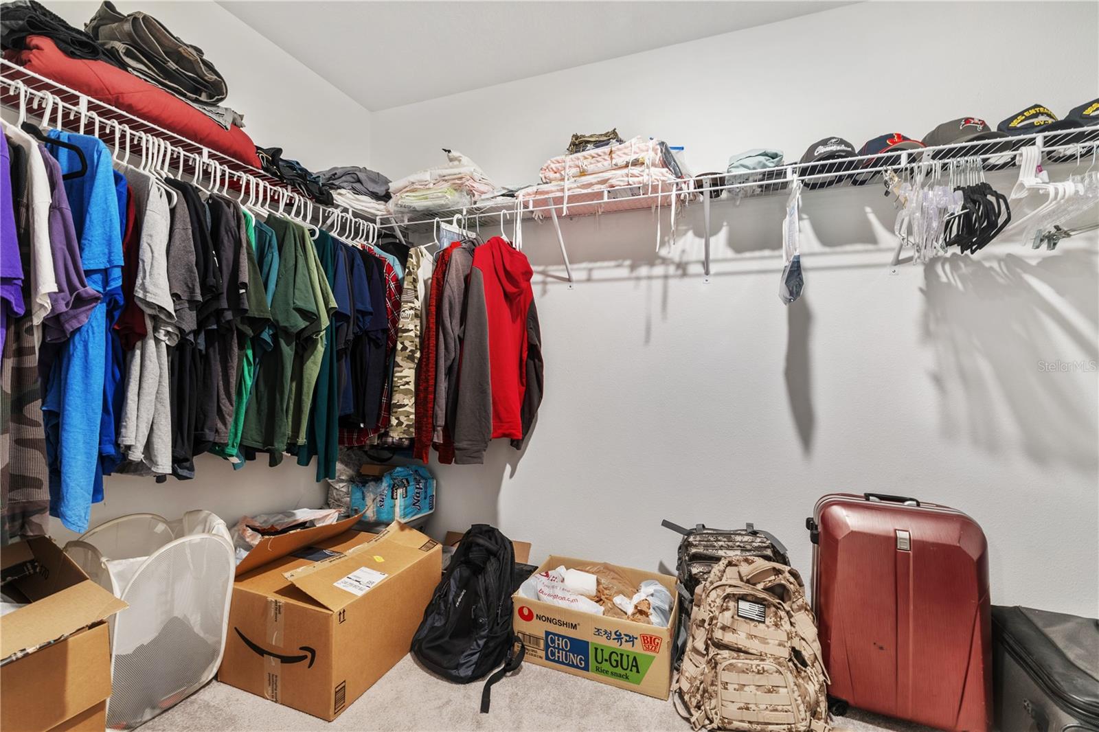 4726 WILD SENNA BLVD, TAMPA, FL, 33619