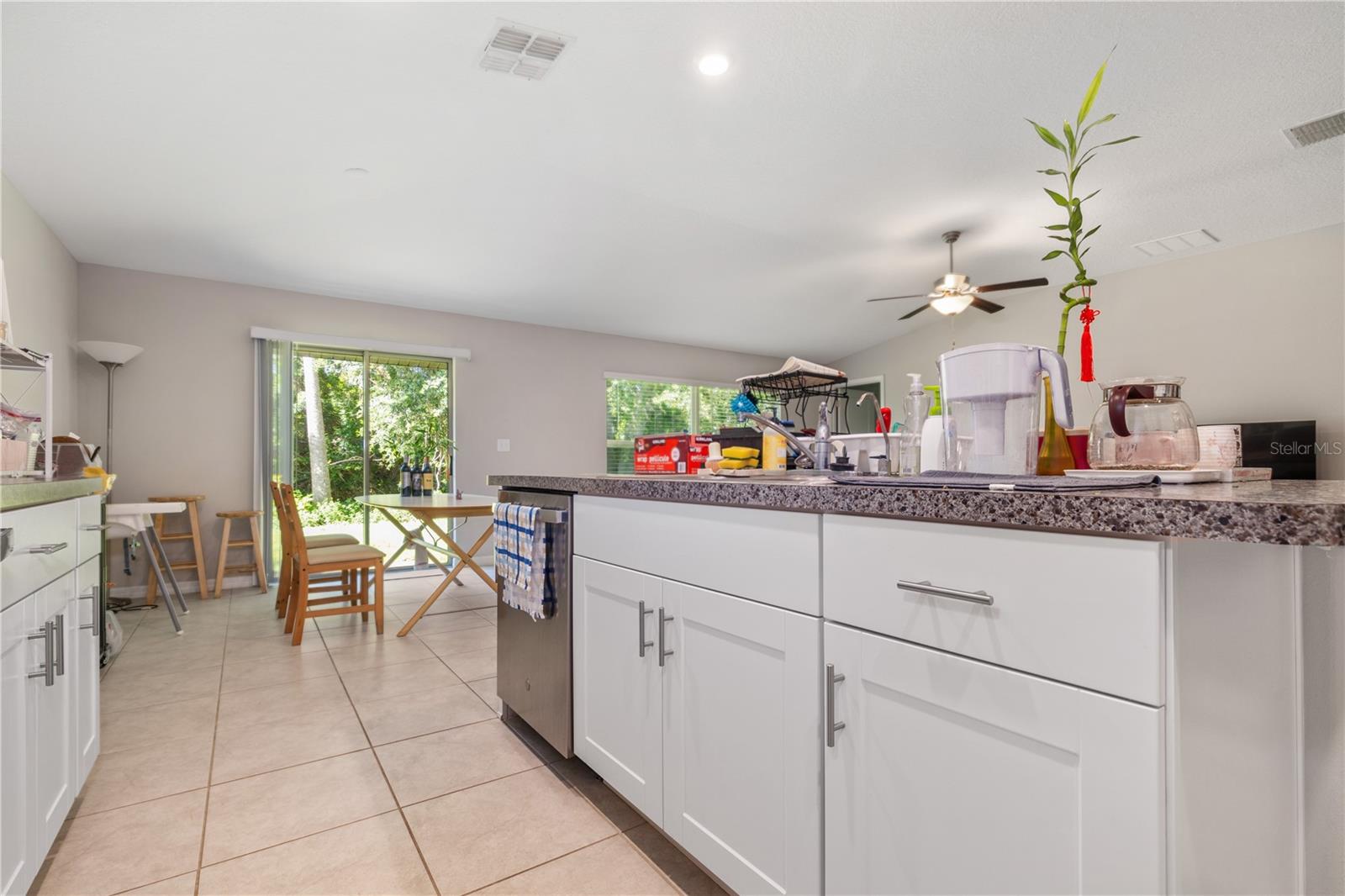 4726 WILD SENNA BLVD, TAMPA, FL, 33619