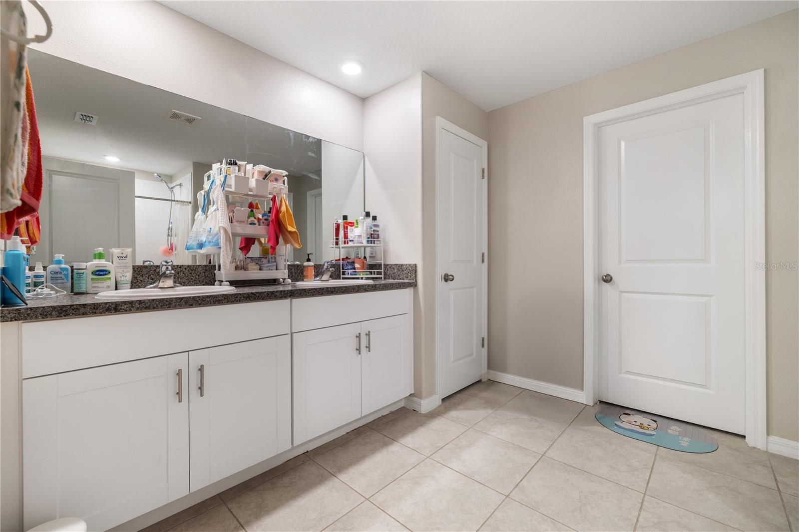 4726 WILD SENNA BLVD, TAMPA, FL, 33619