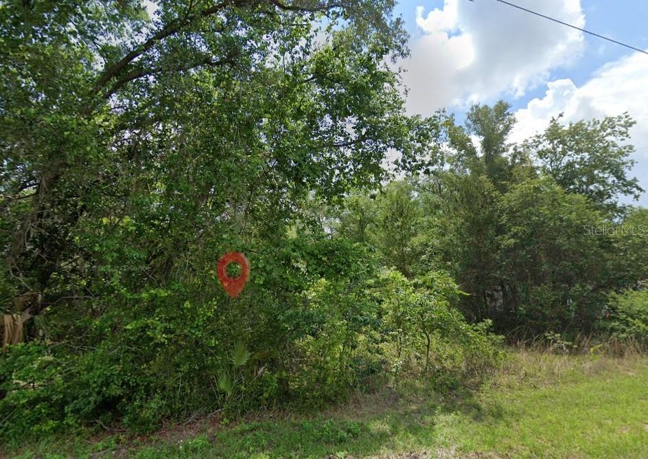 5363 N REDWOOD AVE, HERNANDO, FL, 34442