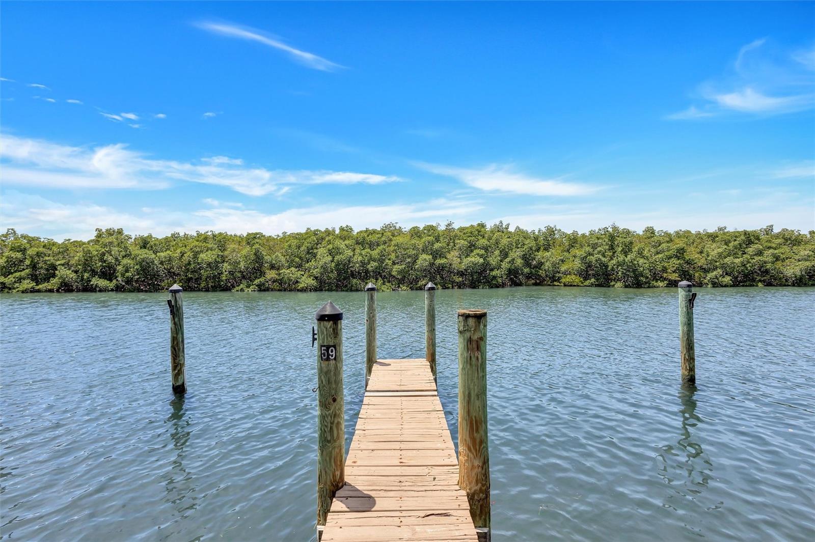 8817 BAY POINTE DR #107, TAMPA, FL, 33615