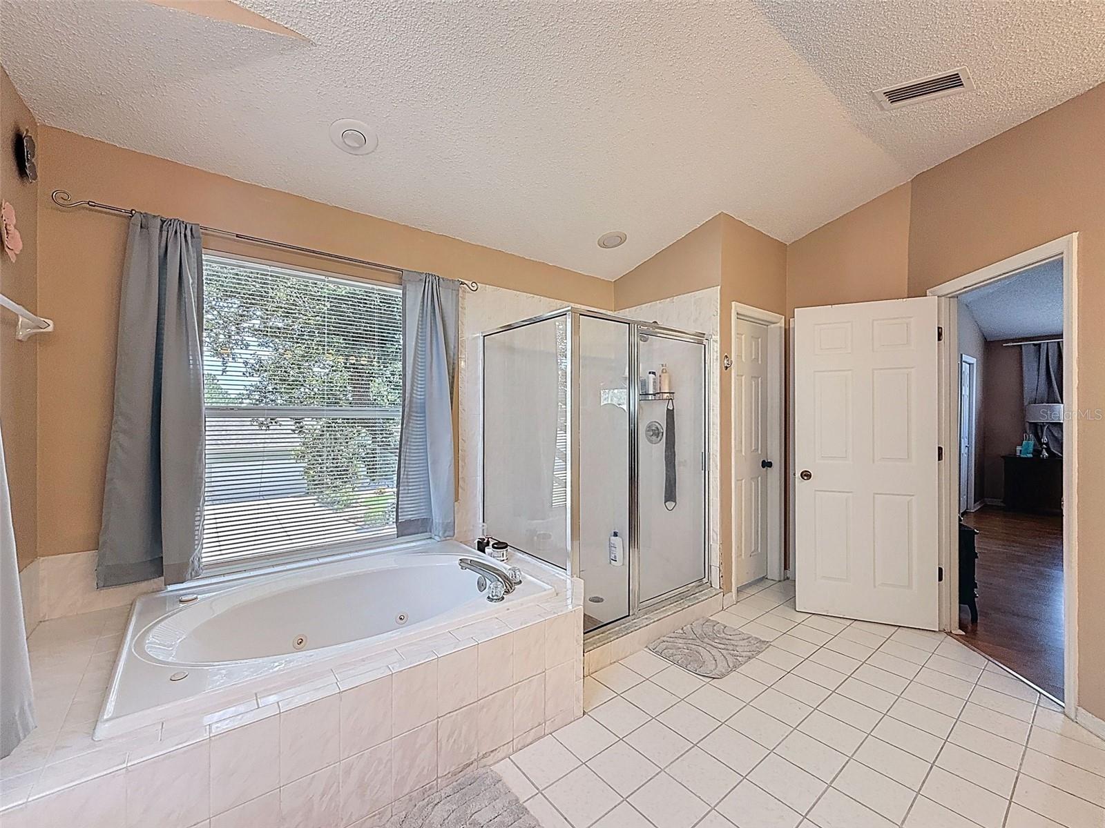 13002 SAINT FILAGREE DR, RIVERVIEW, FL, 33579