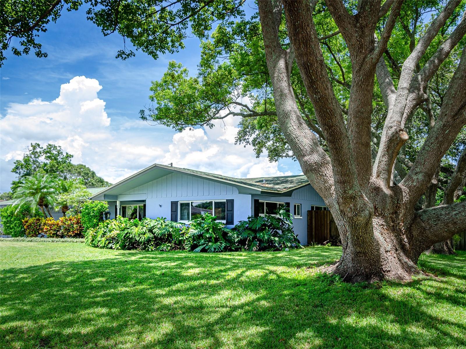 1 MAPLEWOOD AVE, CLEARWATER, FL, 33765