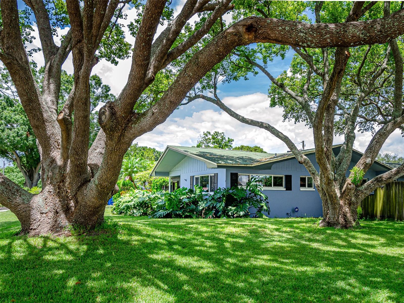 1 MAPLEWOOD AVE, CLEARWATER, FL, 33765