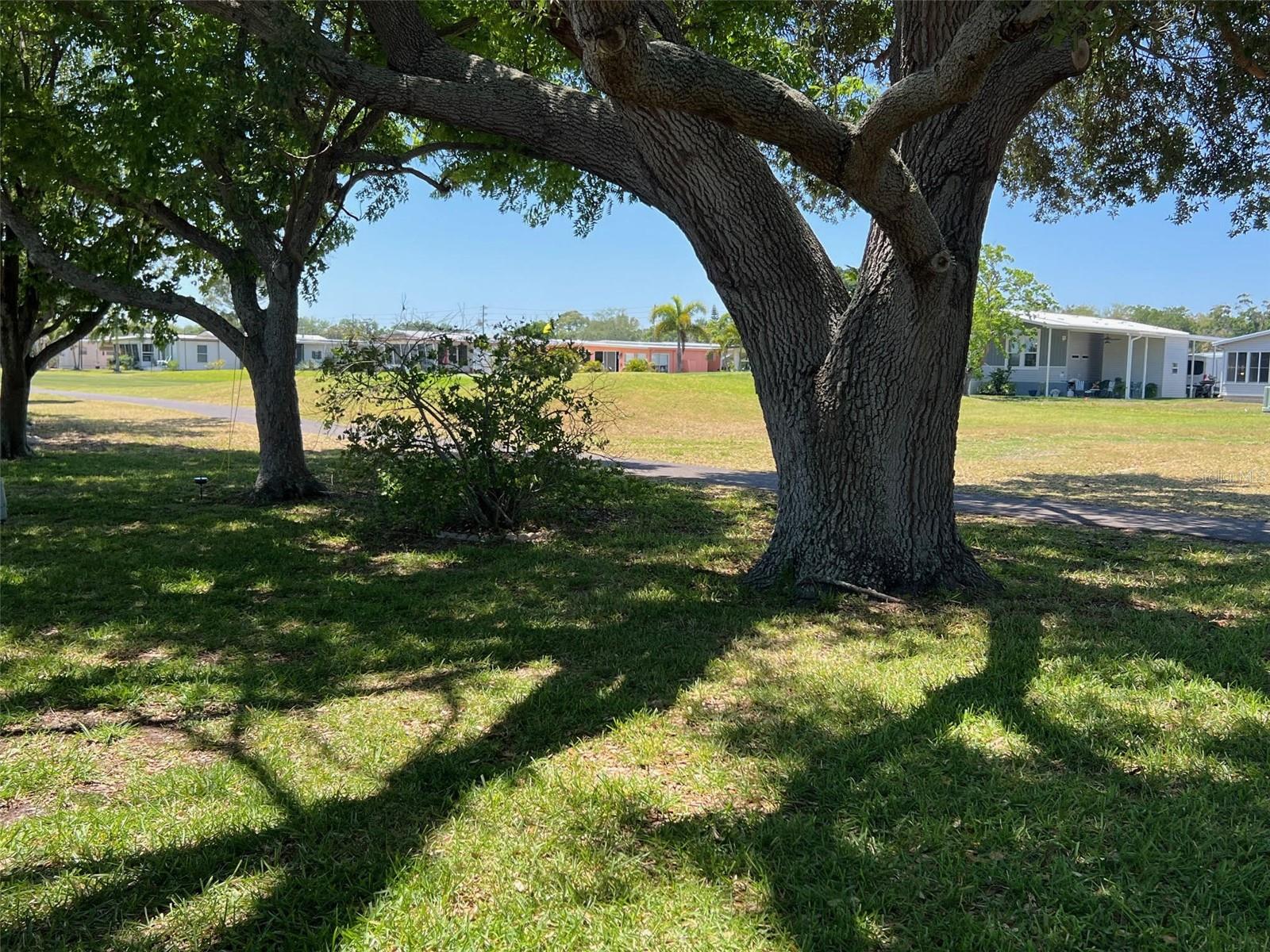 18 SABAL PALM DR, LARGO, FL, 33770