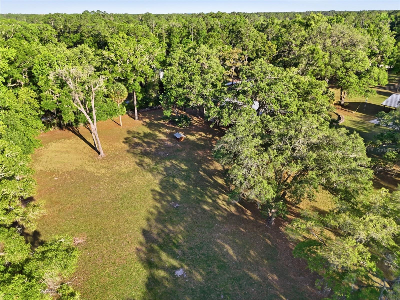 818 NE 783 ST, OLD TOWN, FL, 32680