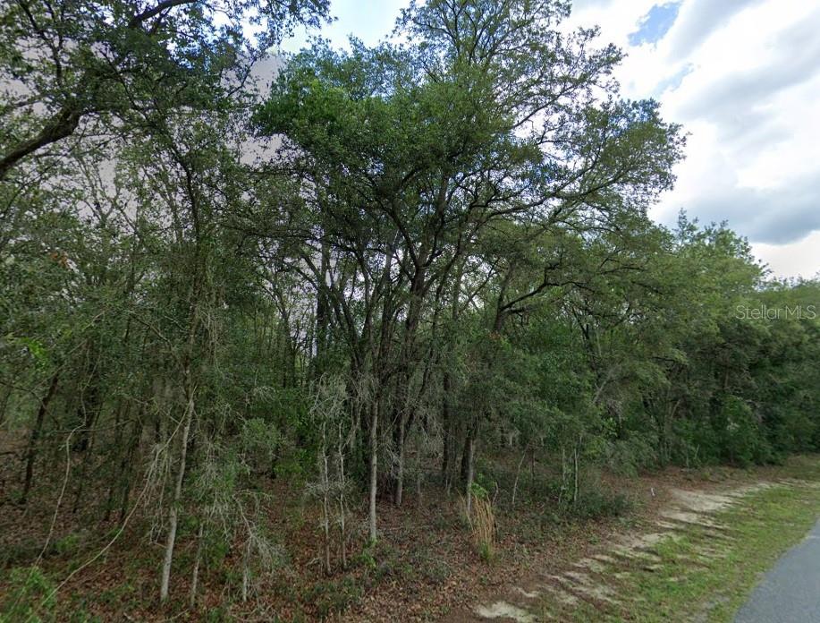 1449 E WEDGEWOOD LN, HERNANDO, FL, 34442