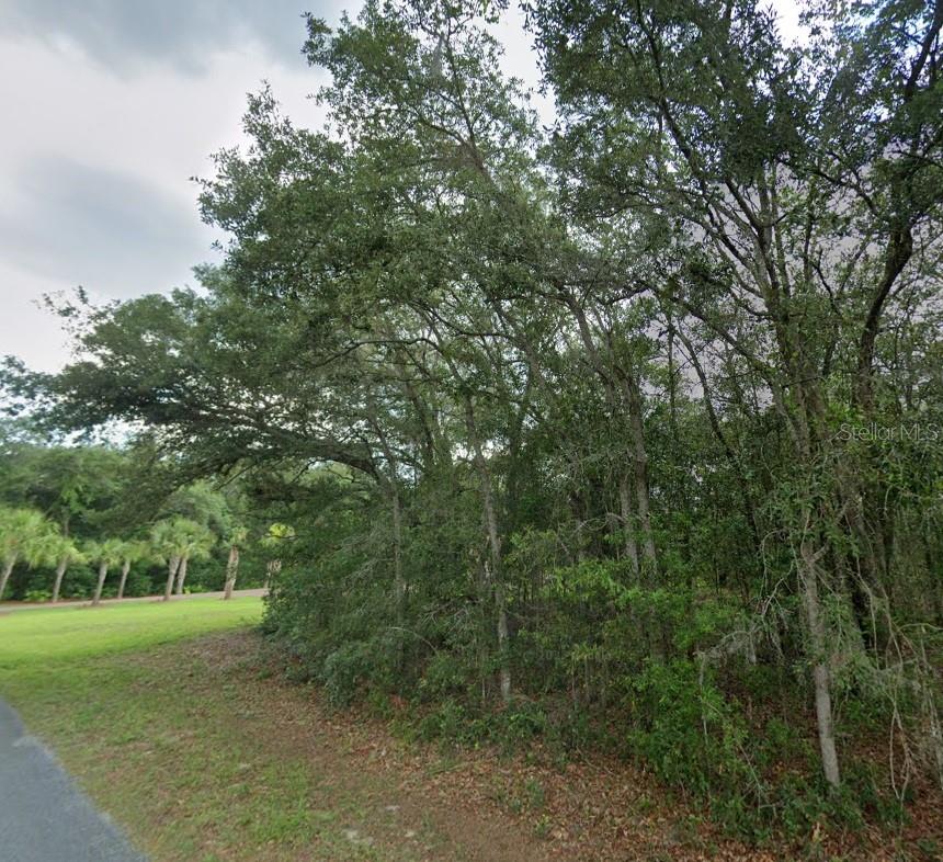 1449 E WEDGEWOOD LN, HERNANDO, FL, 34442