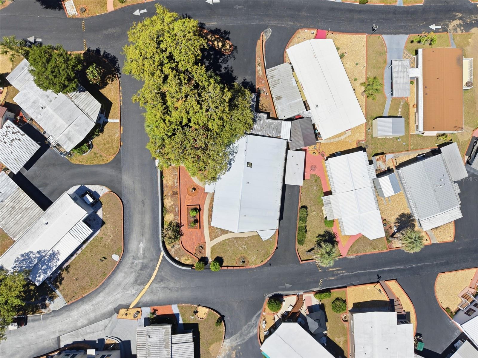 3896 PICCIOLA RD #411, FRUITLAND PARK, FL, 34731